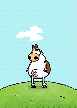 Cow Birthday Cam